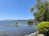 雲南 | 洱海公園，登頂昔日南詔國王養鹿之地，遠眺洱海美景。