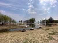 雲南 | 洱海公園，登頂昔日南詔國王養鹿之地，遠眺洱海美景。