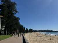 Manly Beach a worth to visit 