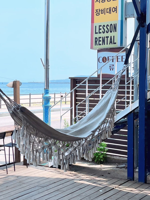 🇰🇷강릉 금진해변 서핑 명소 서프홀릭🌼🏄‍♀️🌊