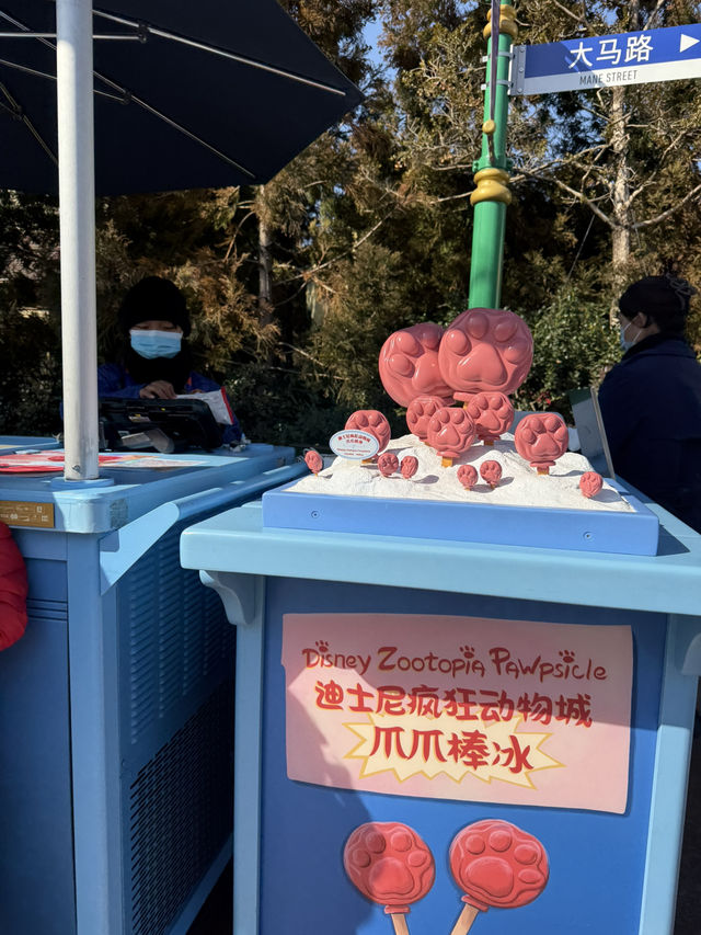 Experience the Magic at Shanghai Disneyland