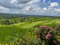 Hidden gems in Bali