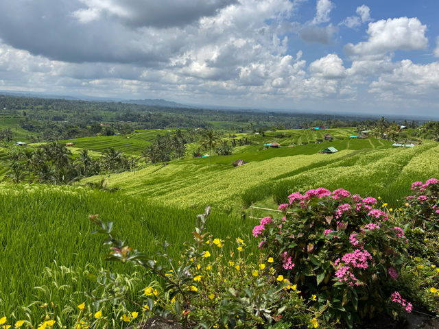 Hidden gems in Bali