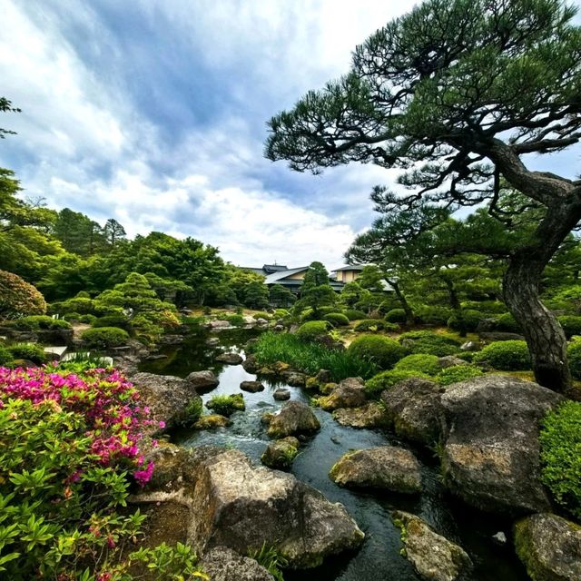 Yuushien Garden: Peony Paradise on Daikon Island