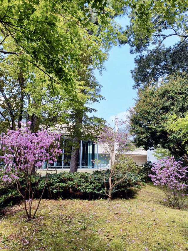 A Day of Art & Blossoms in Meguro – Garden Views & Golden Moments