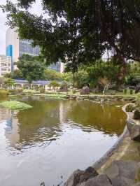 Tranquil Vibes at the National Concert Hall Garden