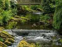 Bodnant Garden – A Glorious Day Among Blossoms and Sunlight