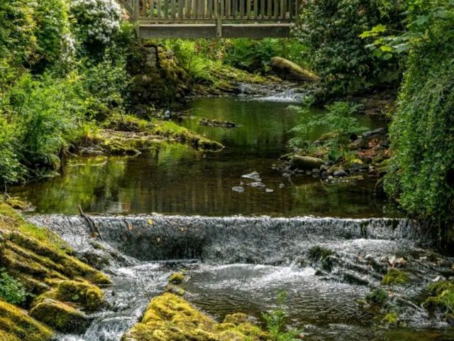 Bodnant Garden – A Glorious Day Among Blossoms and Sunlight