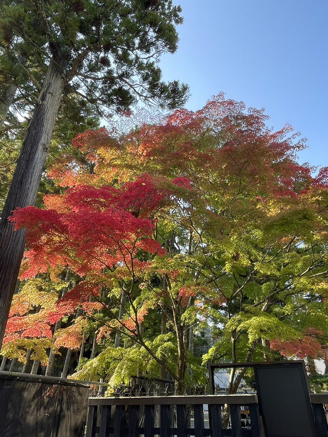 【宮城】グルメ+絶景を欲張りに満喫✨️ 仙台女子旅プラン💚