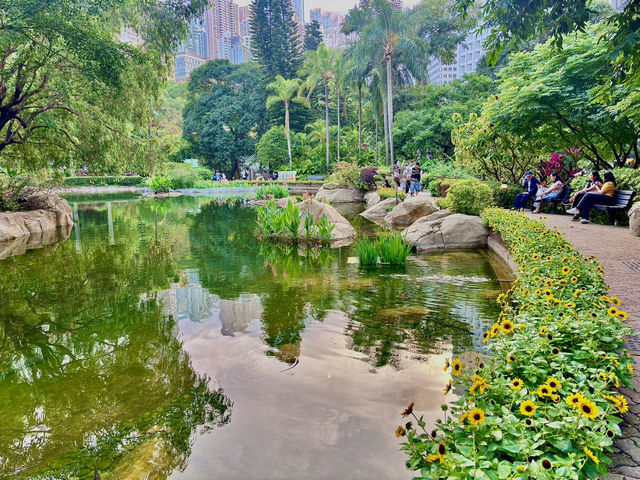 不用出國，香港公園的向日葵花海🌻☀️