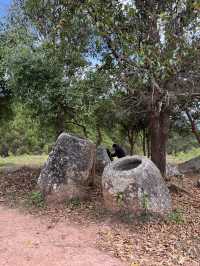 Mystery in the Heart of Laos: The Plain of Jars