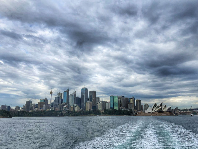 A Wild Day Out with the Kids: Taronga Zoo’s Best Views and Creatures