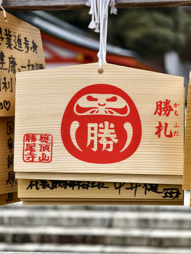 滿佈可愛達摩的勝尾寺