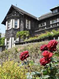【東京/上中里】東京のバラの名所"旧古河庭園"