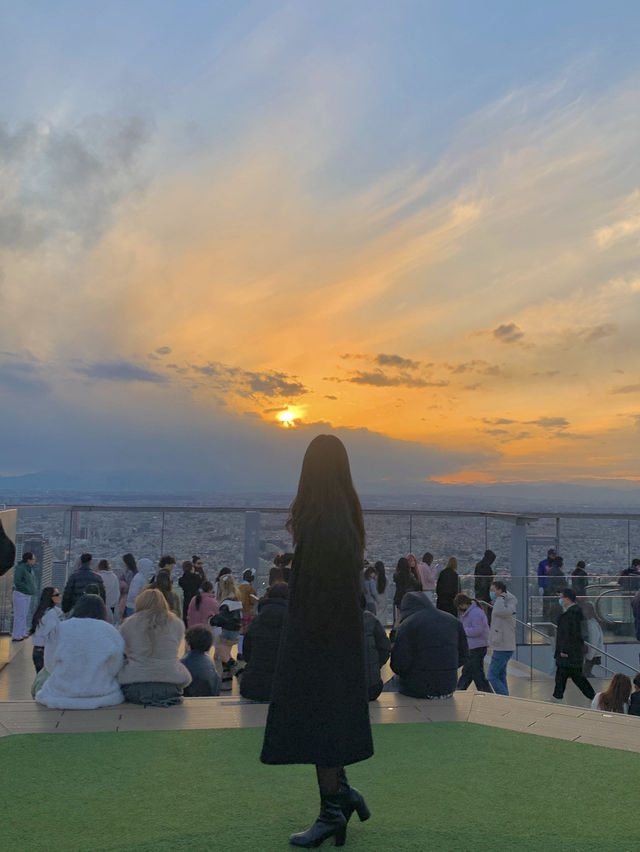 시부야에 가면 꼭 가야 하는, 시부야스카이