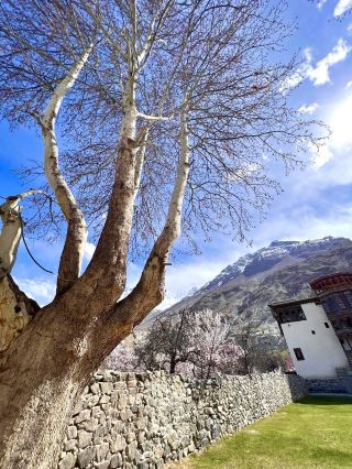 A majestic valley of snow-capped
