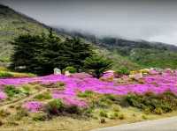 Picnic & Trail Views at Limekiln