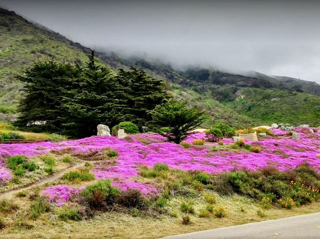 Picnic & Trail Views at Limekiln