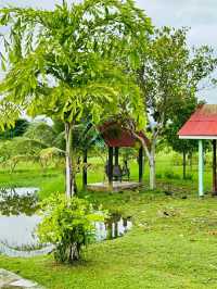 Phanumas Longstay & Resort – A Serene Garden Escape in Chiang Mai