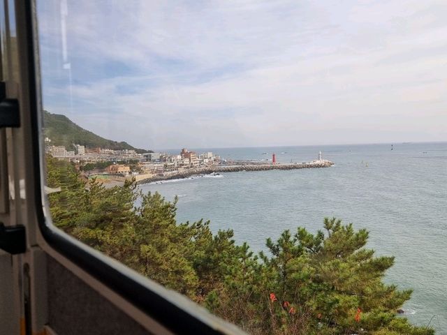 Busan's Sky-High Coastal Dream