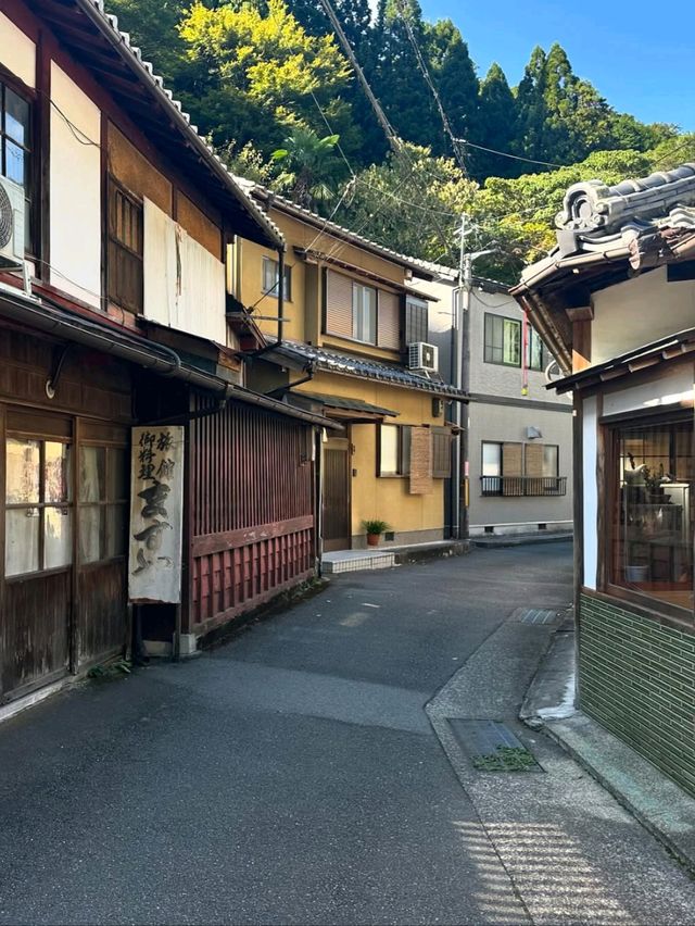 Spring Walk Along Kiyotaki River