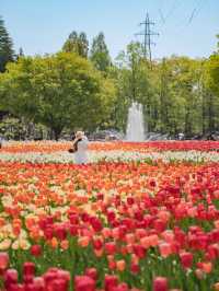 【 期間限定開催！】300万本ものチューリップに囲まれる夢の世界🌷🌈