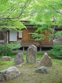 【行く前にこれ見て】禅の境地へ誘う翠の庭園！🌿🐉※周辺観光情報付 