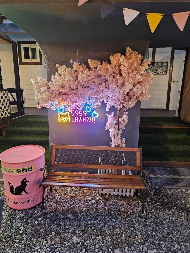 애견동반으로 편안한 휴식과 힐링을  한 번에 누릴 수 있는 곳입니다