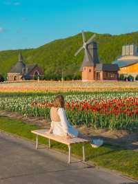 Kamiyubetsu Tulip Park สวนทิวลิปที่สวยสุดในญี่ปุ่น