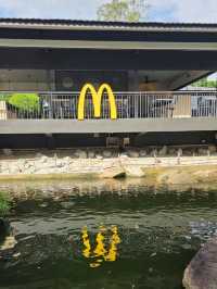McDo Meets Tranquility: A Bite at Ridout Tea Garden, Singapore