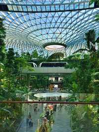 สิงคโปร์🇸🇬