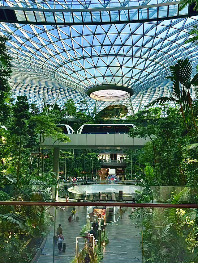 สิงคโปร์🇸🇬