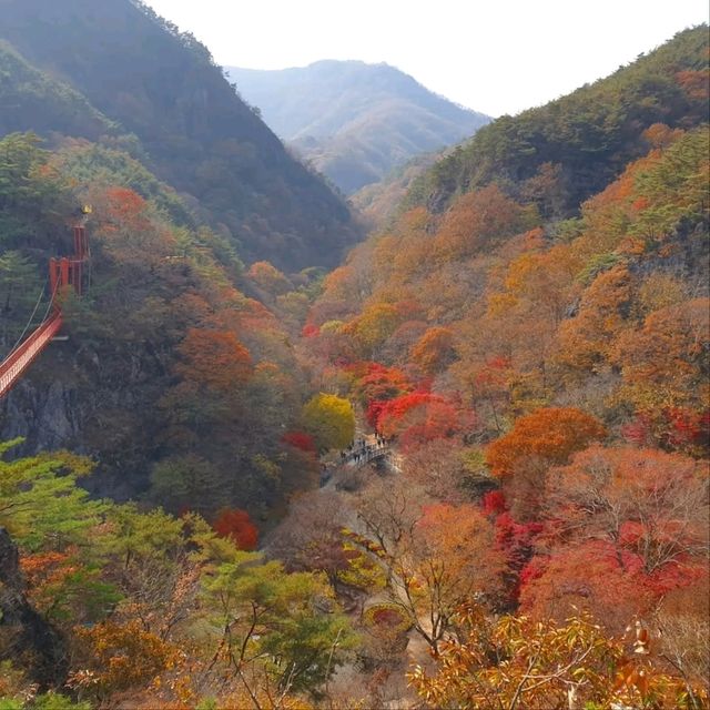 Hiking Gangcheonsan Was a Breeze