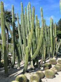 廈門園林植物園太美了