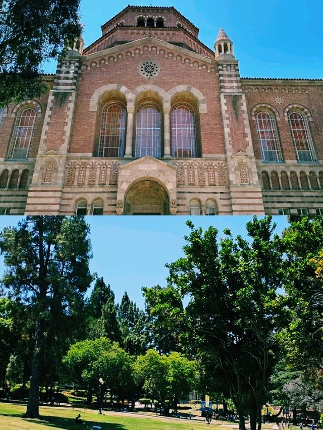 엘에이 감성 산책 – 할리우드 사인부터 베니스 비치까지, 그리고 인앤아웃과 UCLA