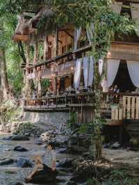 บ้านธารชีวี บ้านเล็กในป่าใหญ่