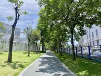 深圳萬豐湖濕地公園✨🌴城市中的自然綠洲🏞️