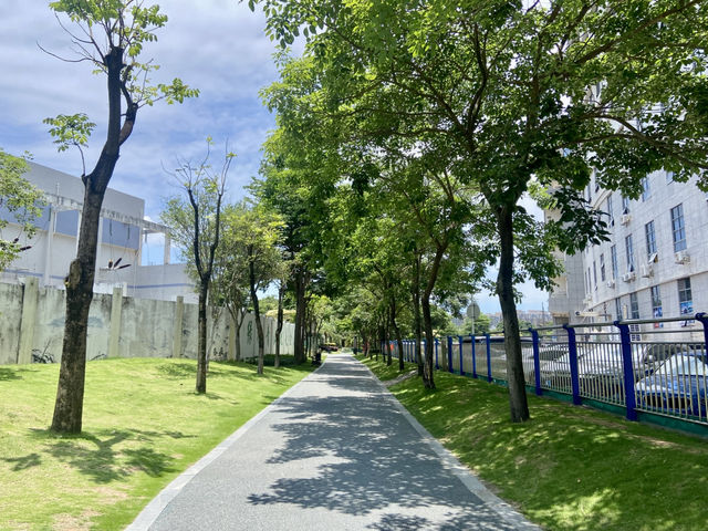 深圳萬豐湖濕地公園✨🌴城市中的自然綠洲🏞️