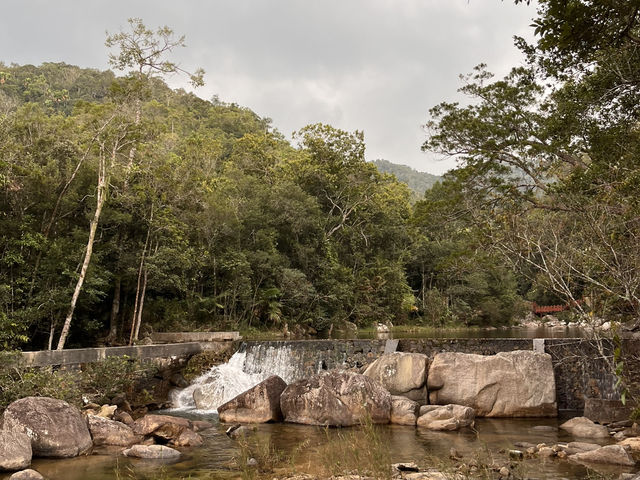 ☁️⛰️No Crowds, Just Clouds: A Quiet Getaway to Jianfengling