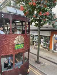 Cheap travel in Hong Kong