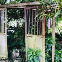 คาเฟ่ในดวงใจ เหมือนหลุดมาจากอวตาร
