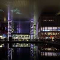 ✨ “Shadows Painted in Light: An Evening at Lilu Light Festival”
