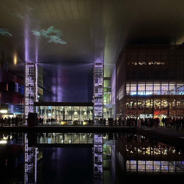 ✨ “Shadows Painted in Light: An Evening at Lilu Light Festival”