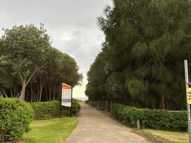 一個小型烏托邦世界 - 臥龍崗衝浪度假村