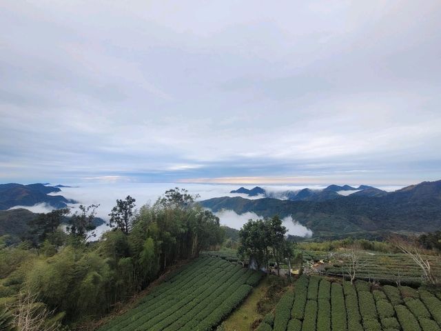 Make a stop in Shizhuo, not just Alishan