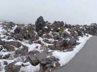 3月日本自由行 景点篇 鬼押出火山岩石公園