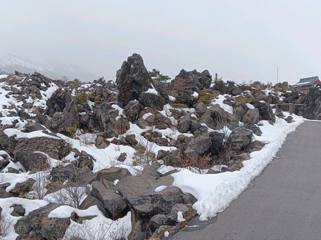 3月日本自由行 景点篇 鬼押出火山岩石公園