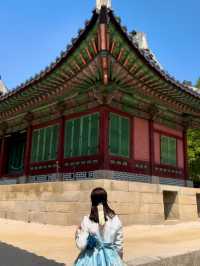 🌸 A Dreamy Birthday Moment at Gyeongbokgung Palace, Seoul 👘🎂