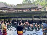 静寂の中の水の聖域|ティルタ ウンプル寺院