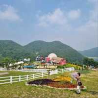 Belle Foret Farm